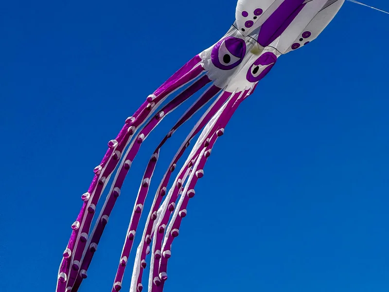 20m Oktopus