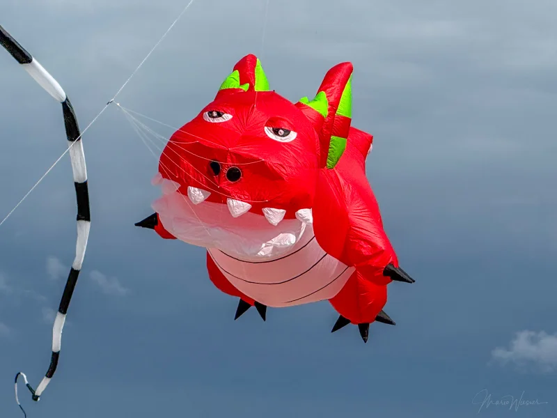 Drache