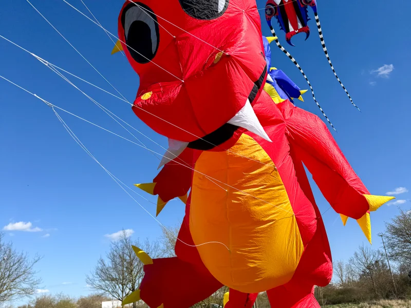 Fauchi rot
