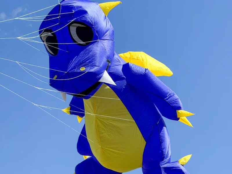 Fauchi blau