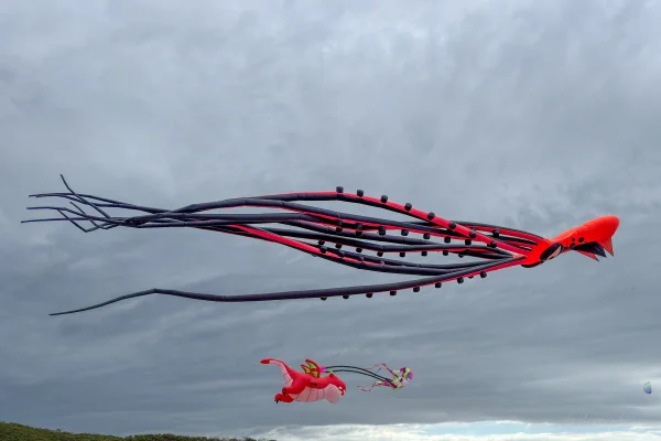 12m Oktopus