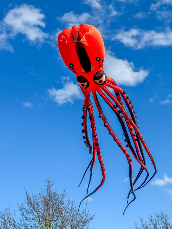 12m Oktopus