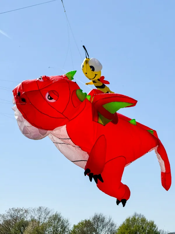 Drache