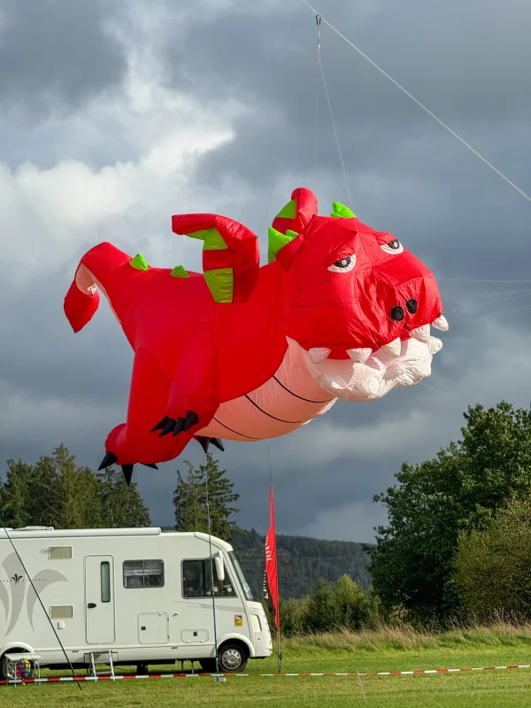 Drache