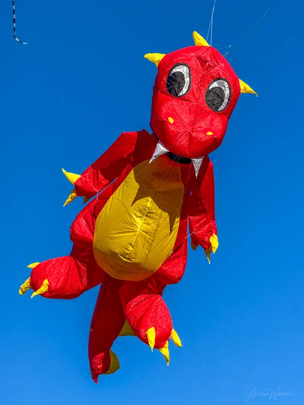 Fauchi rot