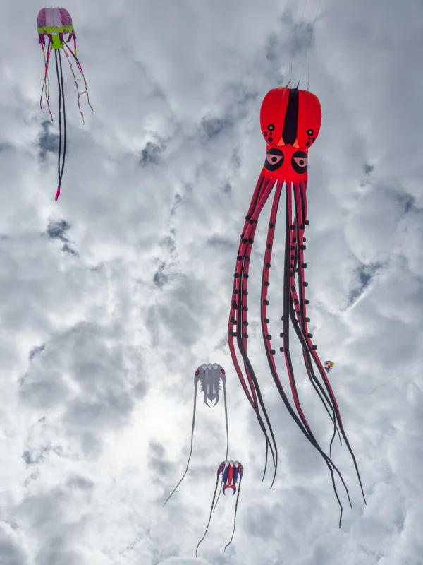 12m Oktopus