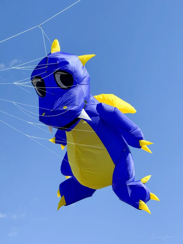 Fauchi blau