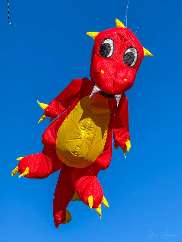 Fauchi rot