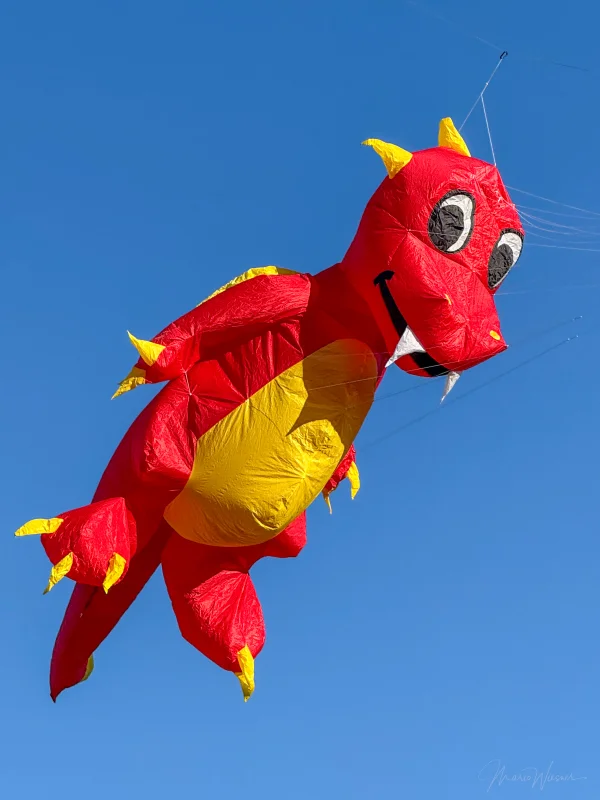 Fauchi rot