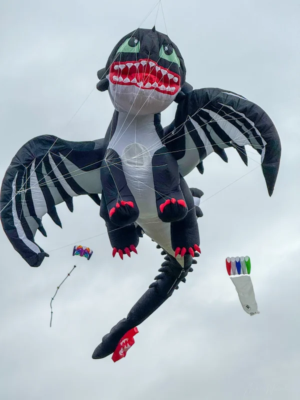 Ohnezahn